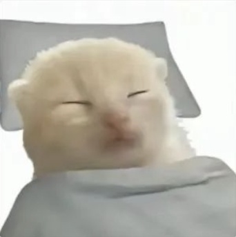 小轩